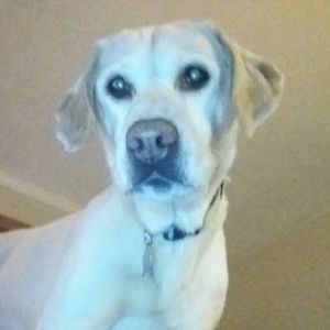 Meet your Posher, Maryellen